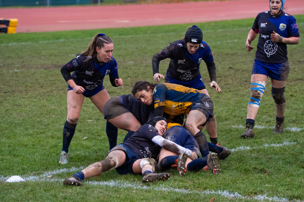 rugby 23 11 17