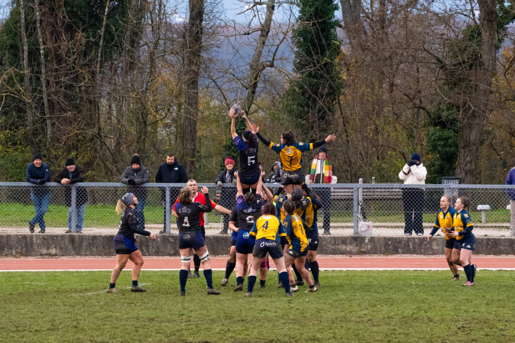 rugby 23 11 8